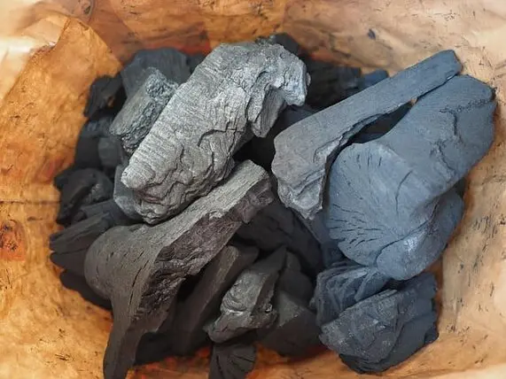 Alternativas al Carbón para Barbacoas